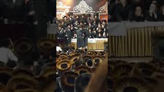 Mitzvah Tantz in Pshevorsk [upl. by Tarttan498]