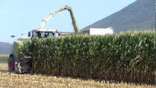 Claas Jaguar 960  Trinciato mais 2012 parte 2 [upl. by Canning]