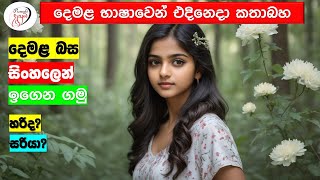 අපි දෙමළ කතා කරමු  මූලික පාඩම්  Lets Speak Tamil  Basic to Advanced Lessonsquot  Punchi Danuma [upl. by Fulks]