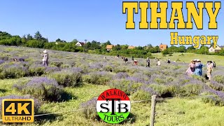 Tihany 🇭🇺 Hungary 2022 Lavender Festival and Lavender Weeks 54 min [upl. by Lleihsad]