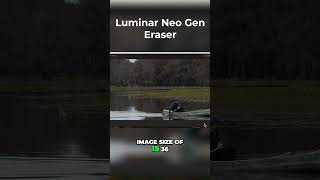 The MAGIC of GENERASE in LUMINAR NEO [upl. by Alehtse]