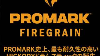 Promark Firegrain Drum sticks  Eric Wiegmann drum demo [upl. by Niras819]