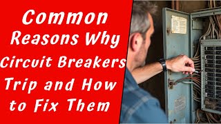 Common Reasons Why Breakers Trip and How to Fix Them [upl. by Zandt]