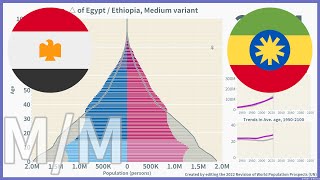 🇪🇬Egypt vs 🇪🇹Ethiopia Comparison of Population Pyramids 19502100  2022 Medium [upl. by Joscelin903]