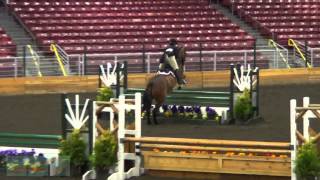 Wrapsody USHJA National Hunter Derby [upl. by Ahsiekam]