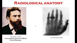 Basics of Radiological Anatomy  Radiology of Head and Neck [upl. by Rimas]