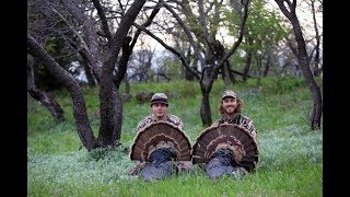 Hooked  Texas Turkey Hunting Film [upl. by Neiviv]