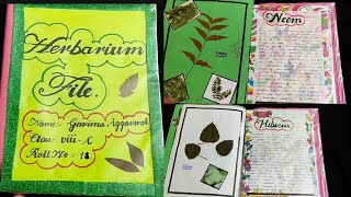 How to make Herbarium File  Science Project [upl. by Sunda]