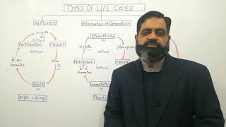 Plant Life cycles English medium profmasoodfuzail  Diplontic life cycle  Haplontic cycle [upl. by Pillyhp89]