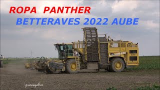 ROPA PANTHER  BETTERAVES 2022  ORVILLIERS ST JULIEN  AUBE [upl. by Tanberg]