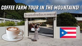 Discovering How COFFEE is Made in Puerto Rico 🇵🇷 [upl. by Keily509]