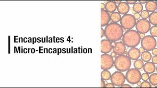 Encapsulates 4 Micro Encapsulation [upl. by Sueddaht]