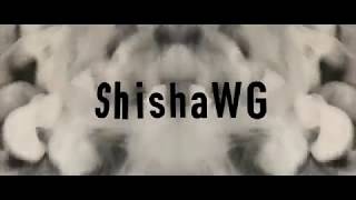 SHISHA 2 GO  SHISHARIA  ShishaWG [upl. by Sone]