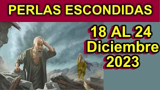 PERLAS ESCONDIDAS de esta semana respuestas CORTAS JOB CAPITULO 2829 18 al 24 DICIEMBRE [upl. by Ellehcar]