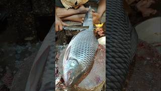 Fish Cutting Skills  Great Giant Rohu Fish Skinning Live In Fish Market  shorts fish fishing [upl. by Paucker]