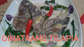 GINATAANG TILAPIA GINATAANG TILAPIA with PECHAY swaksabudgetrecipe [upl. by Dettmer]