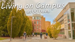 Living On Campus at UC Davis [upl. by Arte]