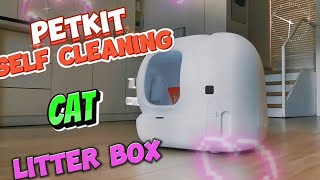 PETKIT Self Cleaning Cat Litter Box  2024 [upl. by Kovacs]