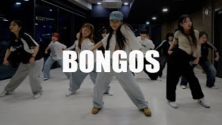 Cardi B  Bongos  Kayah Choreography Beginner Class [upl. by Seabrooke]