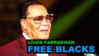 Minister Louis Farrakhan Famous Address Black Lives matter [upl. by Ivana131]