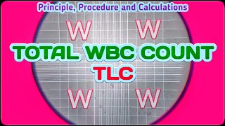 Total Leukocyte Count  TLC Blood Test Procedure  Total WBC Count Experiment [upl. by Pitarys]