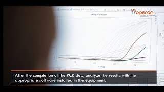 PCR Real Time qPCR procedure — OPERON [upl. by Donia391]