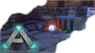 Ark Survival Evolved  S3 Ep 19  The Hatchery amp New Kangaroo [upl. by Dleifxam238]