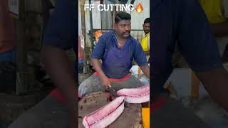 KASIMEDU 🔥 SPEED SELVAM HUGE SEER FISH CUTTING VIDEO kasimeduselvam fishcutting youtubeshorts [upl. by Fitzhugh]