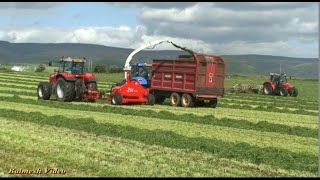 Silage with Trailed Harvester and Massey Power Plus Rowing up with Claas [upl. by Castra]