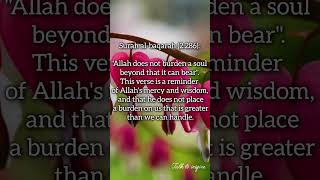 Faith motivation deen deenislam quotes youtubeshorts life [upl. by Elianora]