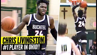 1 PLAYER IN OHIO CHRIS LIVINGSTON PUTS UP A FIGHT IN INTENSE BATTLE BUCHTEL VS ST EDS HIGHLIGHTS [upl. by Eversole]