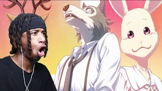 ALMOST EXACT  Studio Yuraki  Beastars OPOpening quotWild Sidequot  REACTION [upl. by Haleemak]