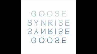 GOOSE  SYNRISE MUMBAI SCIENCE REMIX [upl. by Chrysa465]