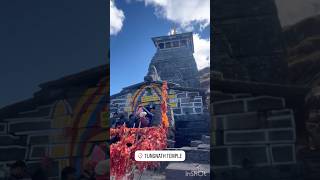 Highest Shiva Temple in the World tungnath mahadev mountains parvatipati [upl. by Bough481]