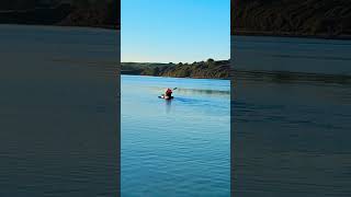 Westport QuaySept 2024youtubeshorts youtuber music fyp viralvideo viralshort [upl. by Oirelav542]