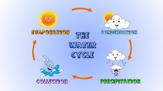 The Water Cycle How rain is formedLesson for kids [upl. by Crotty655]