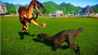 Spinoraptor vs Indoraptor Indominus Rex Stegoceratops Spinosaurus  Dinosaurs Fighting [upl. by Drofla]