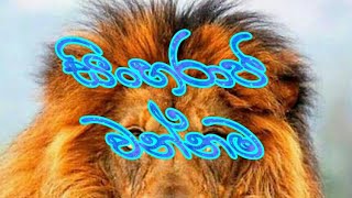 sinharaja wannama  සිංහරාජ වන්නම [upl. by Erik]