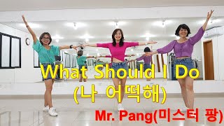 나 어떡해What Should Do Line Dance 미스터 팡시니어가요쉬운라인댄스 [upl. by Templeton174]