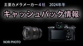 各カメラメーカーで冬のキャッシュバック真っ最中。各情報をまとめるとともに、個人的なお勧めをご紹介します。また、注意点や問題点などについてもお話します。 [upl. by Kcirdahs37]