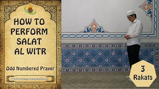 How to perform The Three Rakat Salat alWitr Odd Numbered Prayer [upl. by Ahsircal]