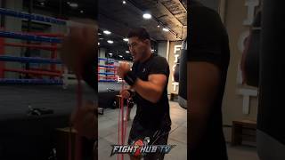 Dmitry Bivol MASSIVE uppercuts in training ahead of Beterbiev undisputed fight [upl. by Elleuqram]