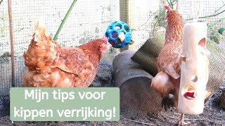 Verrijking voor kippen  Kippenhok pimpen  Dierverzorger Elyse [upl. by Raymond]