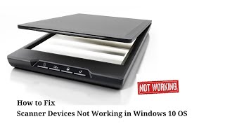 How to Fix Scanner Not Working in Windows 10 [upl. by Iaoh608]