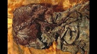 Worlds oldest mummified bog body found in Europe [upl. by Dolan346]