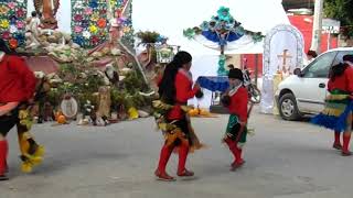 Video 6 Danza Los Pavorreales del Sagrado Corazón en el 39 Aniversario de la danza Tlaxochimaco [upl. by Yelsehc]