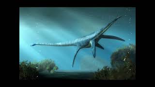 Tribute to the Plesiosaurus [upl. by Anaitak]