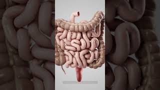 Early Warning Signs Of COLON CANCER You Should Not Ignore [upl. by Neerahs]