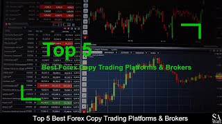 TOP 5 BEST Forex Copy Trading Platforms amp Brokers revealed  🔎 [upl. by Edla40]