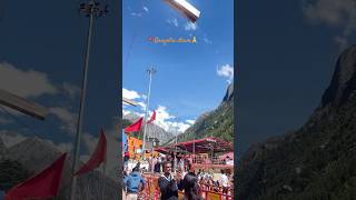 Gangotri Dham 🙏with Rebecca shortvideo wanderer Gangotridham Gangamaa [upl. by Husein274]